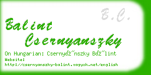 balint csernyanszky business card